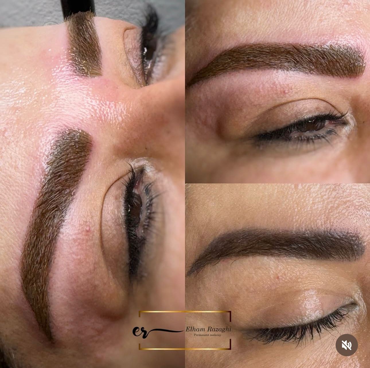 Powder & Ombre Brows by Elham